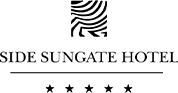 JLH Mattress Partner 12